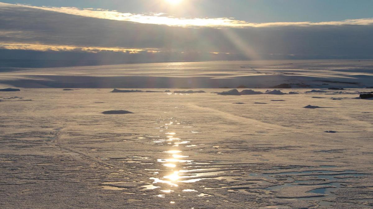 Banquise le 12 janvier